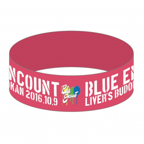 LIVER'S武道館ラババン